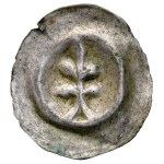 Vedi simili