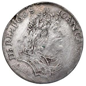 Jan II Kazimierz 1649-1668, Ort 1654 MW, Wschowa.