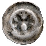 Vedi simili