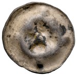 Vedi simili