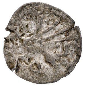 Western Pomerania, 15th-century quartering, Szczecin, Stettin. Obv.: Griffin’s head. Rev.: Griffin.