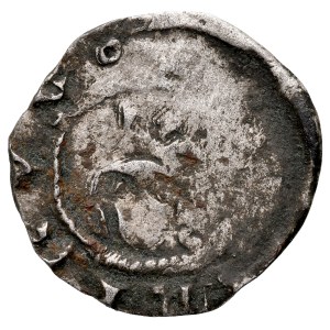 Casimiro il Grande 1333-1370, Denaro, Cracovia. Dritto: Testa con corona. Rovescio: Aquila dei Piasti.