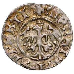 Jan Olbracht 1492-1501, Półgrosz ❀, Kraków.