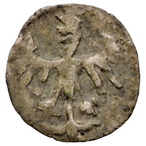 Kazimierz Jagiellończyk 1447-1492, Denar, Kraków.