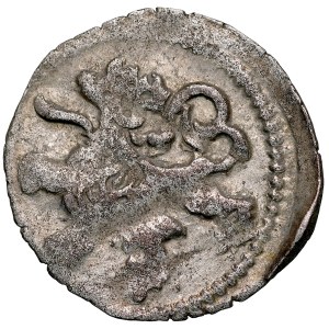 Silesia, Wrocław, Władysław II Jagiellończyk 1471–1516, Halerz, Obverse: Letter W, Reverse: Czech Lion.
