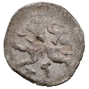 Śląsk, Hrabstwo Kłodzkie, Ulryk z Hardeck 1501-1524, Halerz, Av.: Gotycka litera V, Rv.: Czeski Lew, Kłodzko.