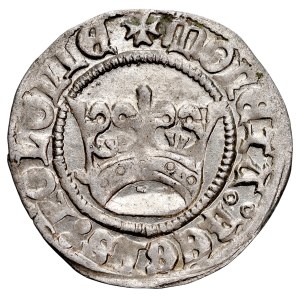 Alexander Jagiellon, 1501–1506, Half-grosz, Kraków.