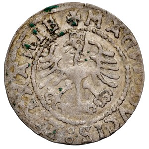 Sigismund I. der Alte 1506–1548, Halbgroschen 1528 V, Vilnius.