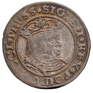 Sigismund I the Old, 1506–1548, grosz, 1528, Toruń.