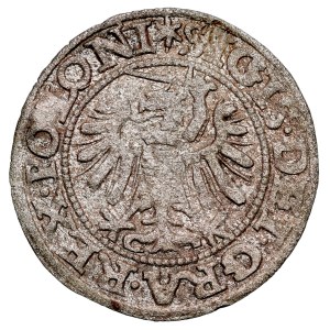 Sigismond II Auguste, 1545-1572, Szeląg, 1549, Gdańsk.