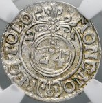 Vedi simili