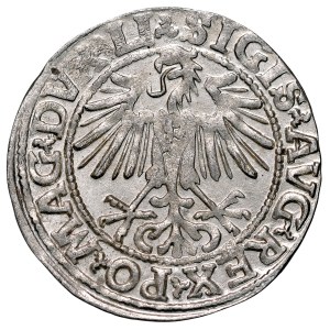 Zygmunt II August 1545-1572, Półgrosz 1548, Wilno.