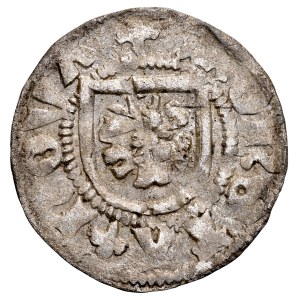 Western Pomerania, 15th-century quartered coat of arms, Pyrzyce, Pyritz. Obverse: A flower on a shield; Reverse: A griffin.
