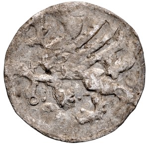 Western Pomerania, 15th-century quartered coat of arms, Pyrzyce, Pyritz. Obverse: A flower on a shield; Reverse: A griffin.