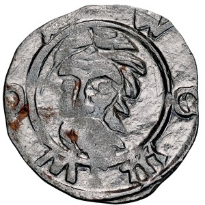Silesia, Duchy of Wrocław, Sigismund of Luxembourg 1419–1437, haler, ca. 1422, obverse: Head of St. John; reverse: Bohemian Lion, Wrocław.