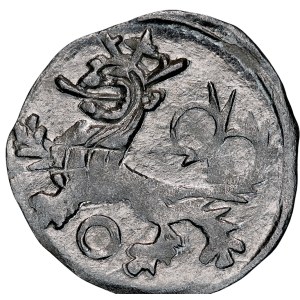 Silesia, Duchy of Wrocław, Sigismund of Luxembourg 1419–1437, haler, ca. 1422, obverse: Head of St. John; reverse: Bohemian Lion, Wrocław.