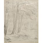 Eugene Zak (1884-1926), Bois d