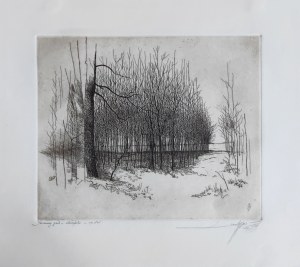 Leszek Rózga (1924-2015), Jesienny gaik, 1979