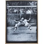 Sara Saudkova (b.1967), The swing