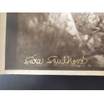 Sara Saudkova (b.1967), The wings