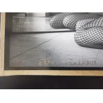 Sara Saudkova (b.1967), A Girl Thing