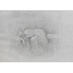 Eugeniusz Zak (1884-1926), Sleeping Woman