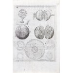 Earth in Diagrams, French edition, ca. mid-17th century.