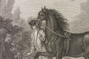 Johann Elias Ridinger (1698-1767), John Gottfried Seuter (1717-1809), Koń neapolitański, z serii: Konie według ras, ok. 1770 r.