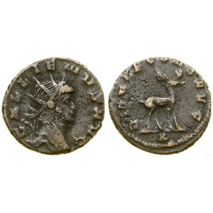 Rímska ríša, antoniniánske mince, (267-268), Rím
