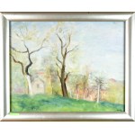 Irena WEISS-ANERI (1888-1981), Jarní krajina, 1950
