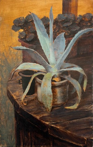 Michał Kaszewski, Agawa, 2014