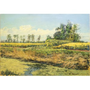 Wojciech Górecki, Landschaft mit blühendem Raps, 2014
