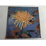 SOUND POSTCARD KRAJEWSKI SKY FROM MY PAGES, RED GUITARS CODA