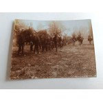 PHOTO GACZKOWICE, ARMY SOLDIERS, HORSES, 1916, WAR
