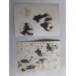 SET OF 2 PHOTOS LUBIENTSY PERIOD UKRAINE