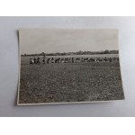 PHOTO VILLAGE, AGRICULTURE
