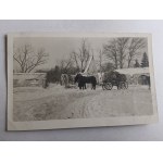 PHOTO VILLAGE HORSES AGRICULTURE 1916