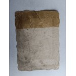 PICTURE CZĘSTOCHOWA IMAGE N MARYA P