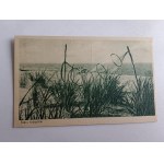 FISHING NETS BALTIC SEA BALTIC SEA