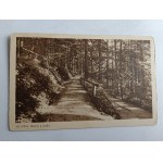 KRYNICA THEME FROM THE PARK