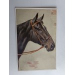 HORSES HORSE PAINTING PRE-WAR