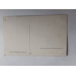 POLISH PAINTING TETMAJER PIAST