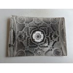 KAZIMIERZ DOLNY CHAPEL CEILING MOUNTAIN PARISH