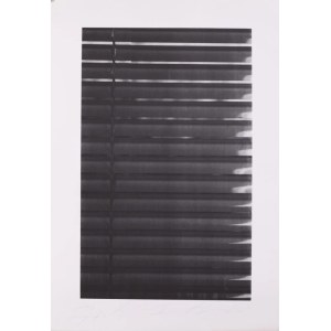 Agnieszka Lakoma, Curtain I, 2020