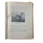 BŁOCKI Stefan - Nasze psy. Vademecum miłosnika psa , 130 rysunków, Wilno 1933