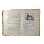 BŁOCKI Stefan - Nasze psy. Vademecum miłosnika psa , 130 rysunków, Wilno 1933