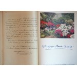 JAHRBUCH 1917 des K. k. österreichischen Militär-Witwen- und Waisenfonds, Vienna 1917 Yearbook of the Imperial and Royal Austrian Military Widows and Orphans Fund