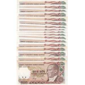 Turkey, 5.000 Lira, 1990, AUNC / UNC, p198, 7/4. Emission, (Total 17 banknotes)