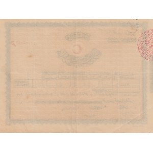 Turkey, Ottoman Empire, Hilali Ahmer Cemiyeti aid receipt, 1919,XF