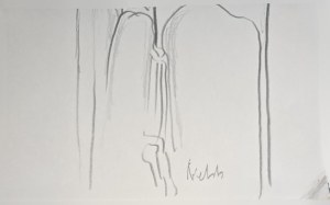 Andrzej Dziubek, pseud. Nebb (ur. 1954), Bez tytułu